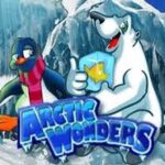 Tentang Artic Wonder Beruang Lucu Dari Provider Habanero