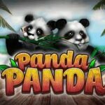 Tentang Game Panda Panda yang lucu di Provider Habanero