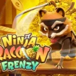 Ninja Raccoon Frenzy