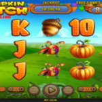 Pumpkin Patch Surga Labu