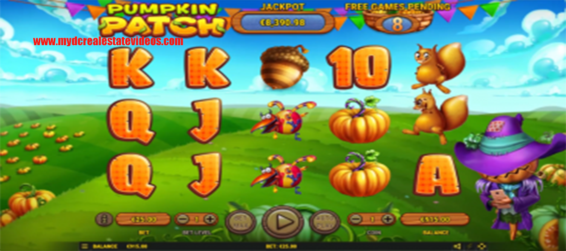 Pumpkin Patch Surga Labu