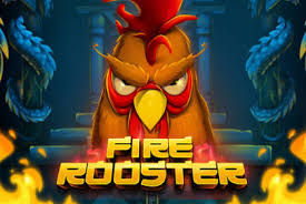 Tentang Game Fire Rooster Ayam jago dari Provider Habanero